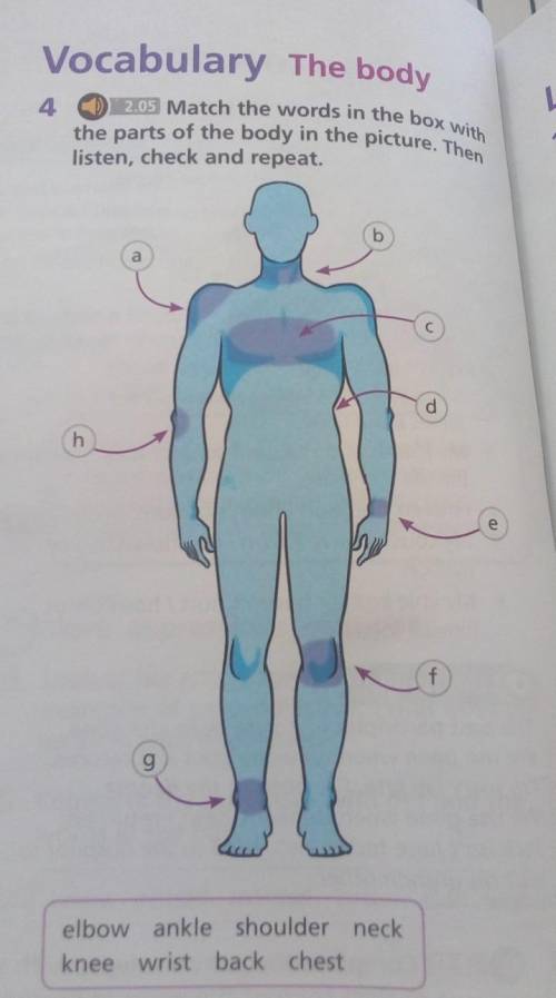 И Now, ex.4, p.60. Match the words in the box with the parts of the body in the picture. Listen, che