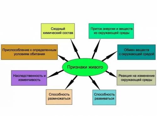 Конспект на тему Какие процессы свойственные живым организмамБыстрее