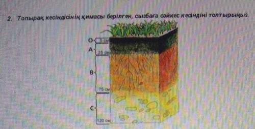 2. Топырақ кесіндінің қимасы берілген, сыбаға сәйкес кесіндіні толтырыңыз.осу​