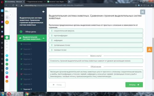Выделительная система животных. Сравнение строения выделительных систем животных