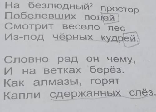 Прочитай Выпиши словосочетания с существительным в родительном падеже множественного числа Выдели ок