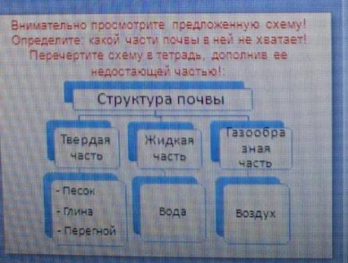 Внимательно посмотрите предложенную схему Определите какой части почвы в ней не хватаетДополните её