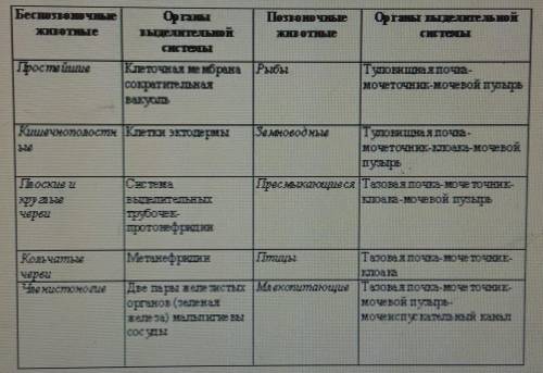 Сравните строение выделительной системы беспозвоночных и позвоночных животных: а) Укажите черты сход