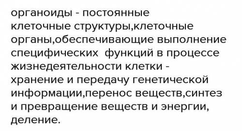 2.Какую функцию выполняют органоиды клетки? 3.Чем отличается растительная клетка от животной? Опишит