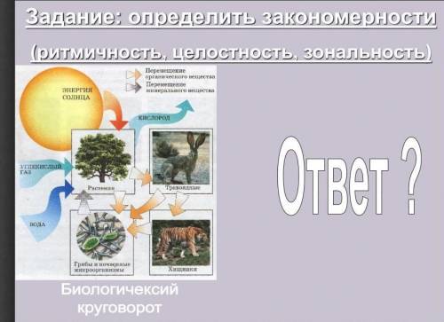 Задание: определить закономерности (ритмичность, целостность, зональность) ​