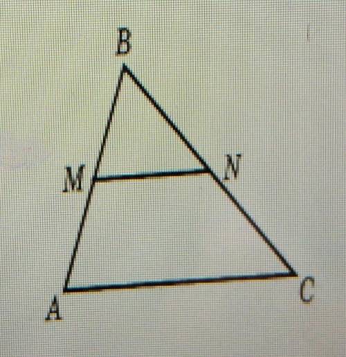 MN параллельно AC Найдите AM если AB равно 6 см MN равно 4 см AC равно 12 см​