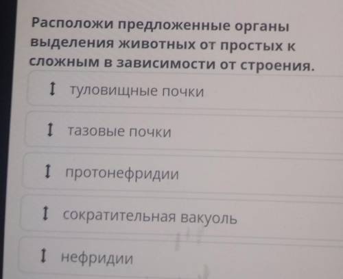 Расположите предложенные органы выделения животных от простых к сложным взаимо зависимости от строен