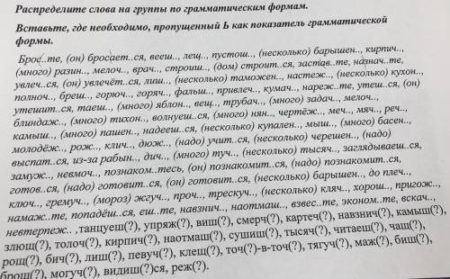 Распределить по группам.Повелительное наклонение,2скл мужской род ед.ч,ться,тся и тд