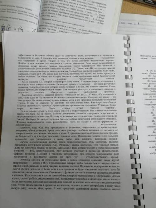 чтение и понимание нужно прочитать текст и ответит на 5-6 вопросов