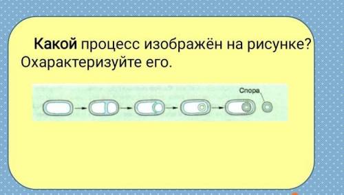 Какой процесс изображëн на рисунке? Охарактеризуйте его