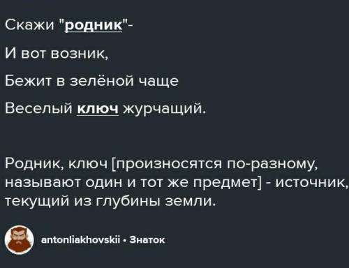 Найдите омонимы. Выпишите их. Скажи родник –И вот возник,Бежит в зеленой чащеВеселый ключ журчащий.М