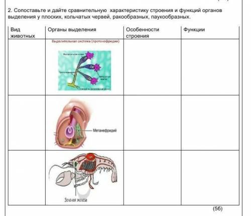 Составьте и Дайте сравнительную характеристику строения и функций органов выделения у плоских ,кольч