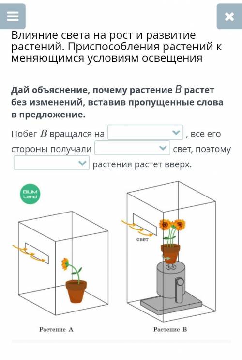 Влияние света на рост и развитие растений. При растений к меняющимся условиям освещения Дай объяснен