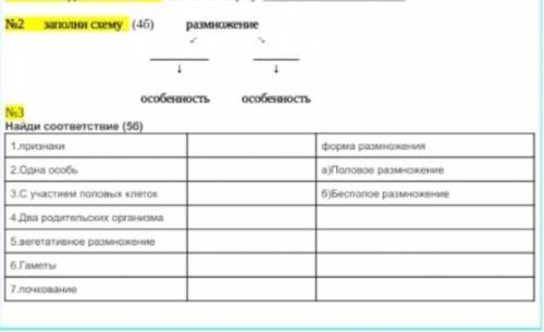 Найди соответствие, заполни схему