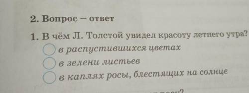 В чём л Толстой увидел красоту летнего утром​