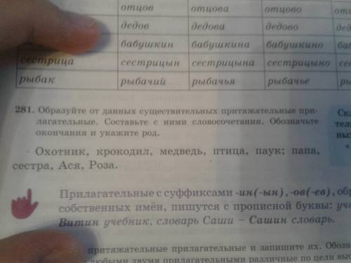 ознакомьтесь с таблицей как изминяются притяжные прилогательные составьте с ними словосочетания обоз