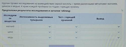 Нурлан провел исследование на взимодействие серной кислоты с тремя различными металлами: магнием, ци