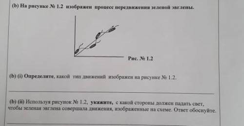 Определите какой тип движения изображён на рисунке 1.2(следующее тоже если хотите) ​