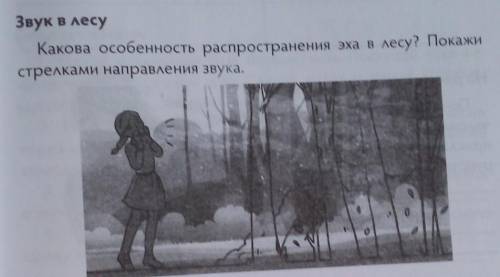 Звук в лесу Какова особенность распространения эха в лесу? Покажистрелками направления звука.​