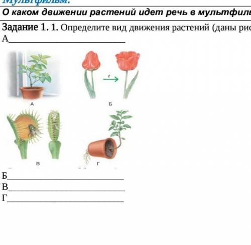 Задание 1. 1. Определите вид движения растений (даны рисунки) АБВГ