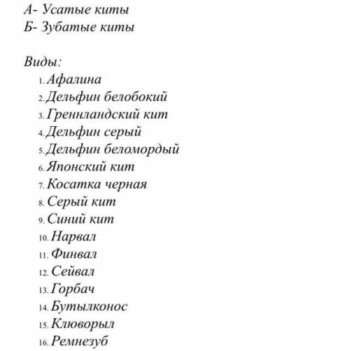 распределить виды китообразных на подотряды