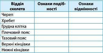 с таблицей плзПодібності та відмінності скелета людини та горили