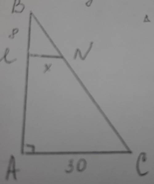 Треугольник АВС прямоугольный MN||AC, AB=24, MB=8, AC=30 Найти х​