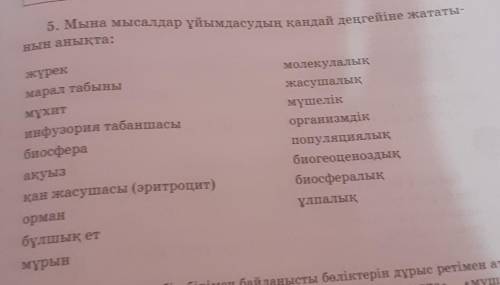 5. Мына мысалдар ұйымдасудың қандай деңгейіне жататынын анықта:​