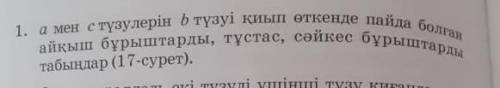 Табыңдар (17-сурет).айқыш бұрыштарды, тұстас, сәйкес бұрыштарды​