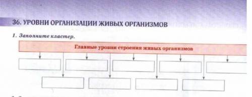 Заполни кластер главные уровни строение живых организмов​