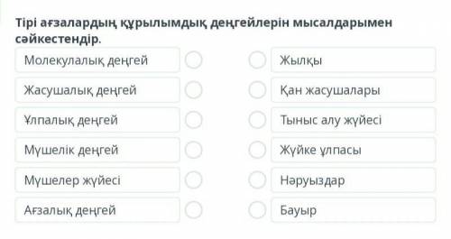 Тірі ағзалардың құрылымдық деңгейлері Тірі ағзалардың құрылымдық деңгейлерін мысалдарымен сәйкестенд