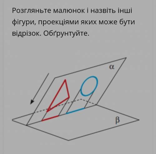 Рассмотрите рисунок и назовите другие фигуры, проекциями которых может быть отрезок. Обоснуйте.​