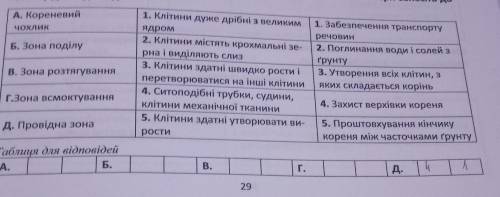 Завдання 3. Упорядкуйте таблицю: установіть відповідність між зонами кореня, харак- теристикою кліти