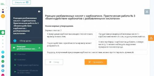 Реакции разбавленных кислот с карбонатами. Практическая работа № 3 «Взаимодействие карбонатов с разб