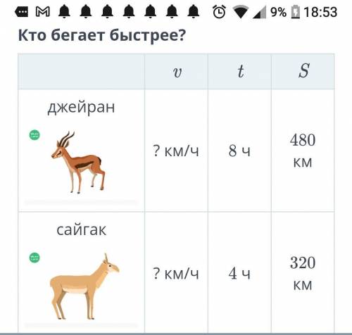 Кто бегает быстрее? Сайгат Джейран Оба