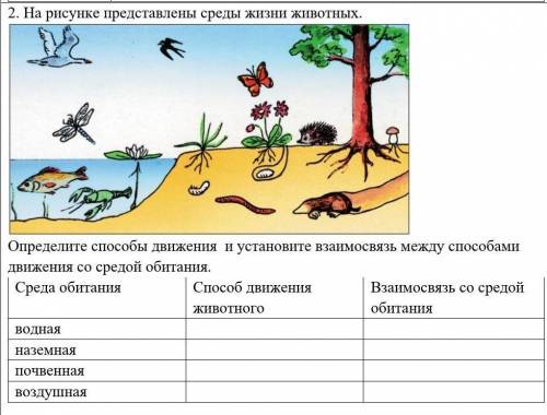 Определите движения и установите взаимосвязь между движения со средой обитания. Среда обитания движе