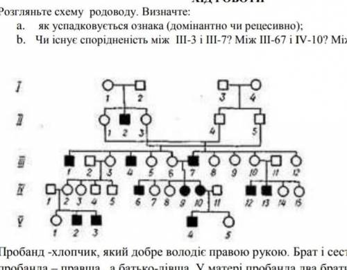 Генеалогічний метод вивчення спадковості у людини грунтується на простежуванні якої-небудь ознаки в