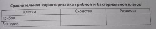 Сравните строение и функции грибной и бактериальной клеток