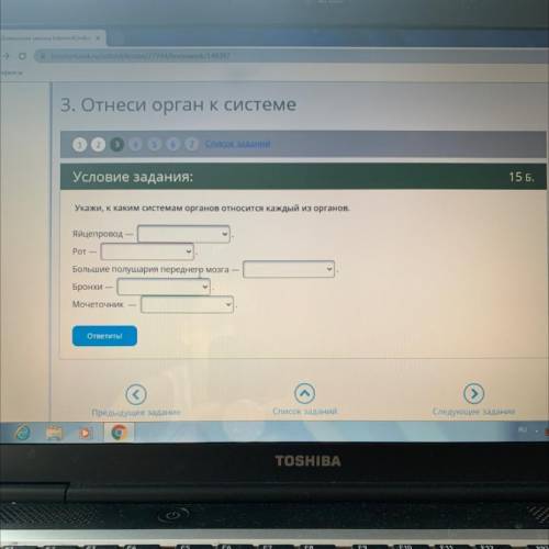 Укажи, к каким системам органов относится каждый из органов. Яйцепровод Рот — у Большие полушария пе