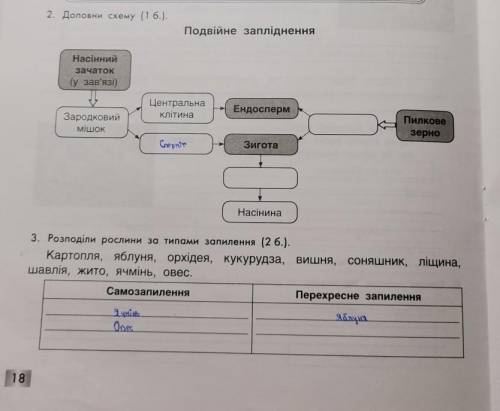 Доповніть завдання 2,3​