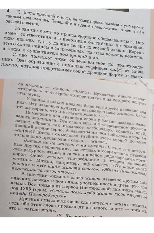 1)Бегло прочитайте текст, не возвращаясь глазами к уже прочитанным фрагментам. Передайте в одном пре