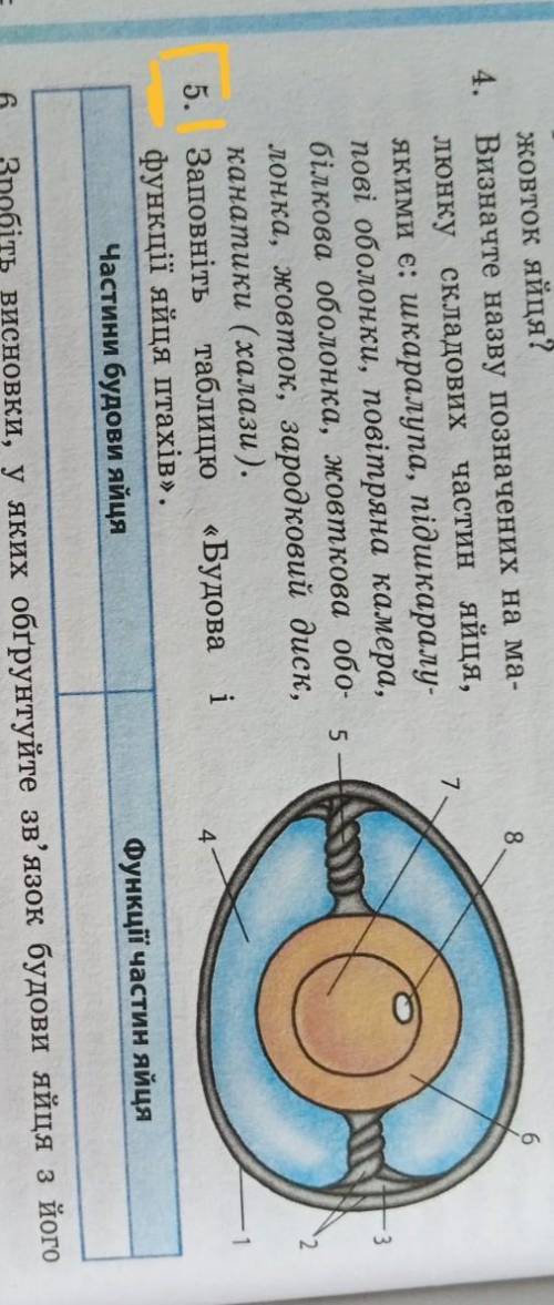 Заповніть таблицю будова і функції яйця птахів​