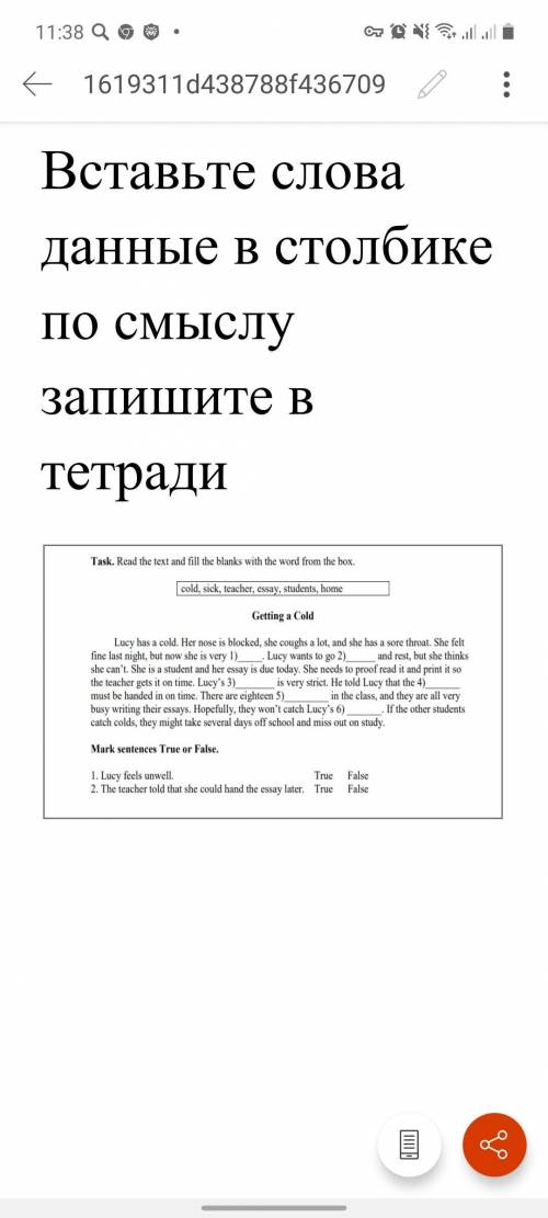 Вставьте слова данные в столбике по смыслу запишите в тетради