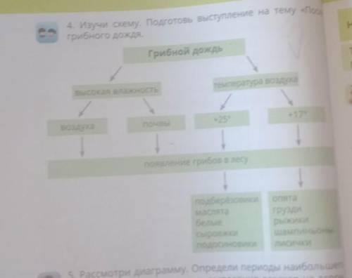 Изучи схему. Подготовь выступление на тему «По грибного дождя. Грибной дождьтемпература воздуха+25+1