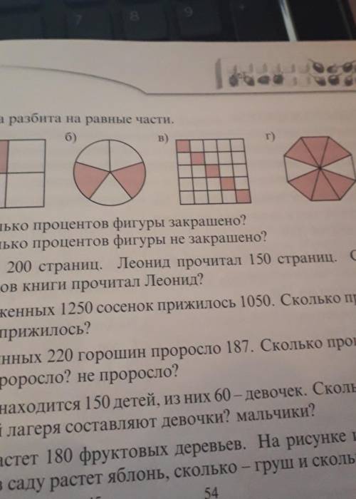 Фигура разбита на две равные части Сколько процентов фигуры закрашено Сколько процентов фигуры не за