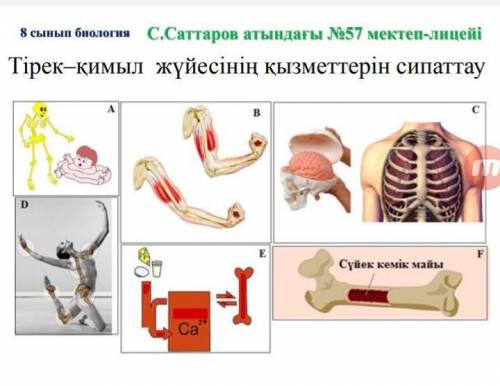 Оқулықтың 129-133бетті оқу. Белген слайдтарды мұқият танысу, оқыған ақпараттарға байланысты мазмұнда