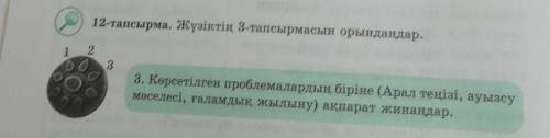 12-тапсырма. Жүзіктің 3-тапсырмасын орындаңдар. 2133. Көрсетілген проблемалардың біріне (Арал теңізі