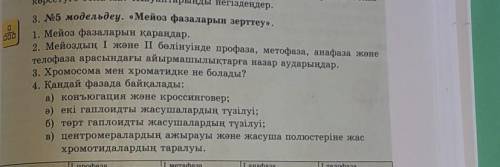 Перевод: 1.В чем разница между профазой, метофазой, анафазой и телофазой в первом и втором делении м