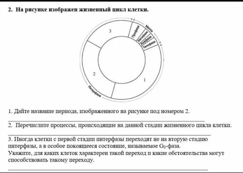 На рисунке изображён жизненый цикл клетки​