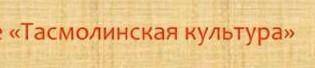 Учебное задание No 2 Составьте синквейн по теме «Тасмолинская культура» 1Составить по схеме: Названи